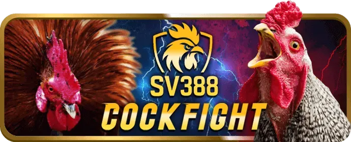 Các bước đăng ký tài khoản VJ99