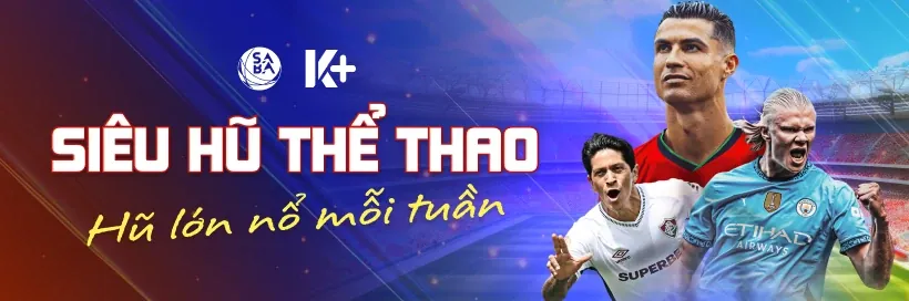Hoàn trả cao cấp