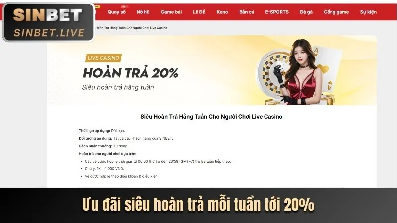 Hoàn Trả Hàng Ngày VJ99
